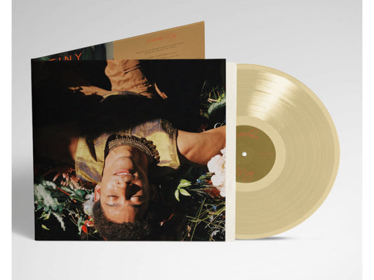 Rainbow Boy -  Anniversary Edition Vinyl - Keiynan Lonsdale